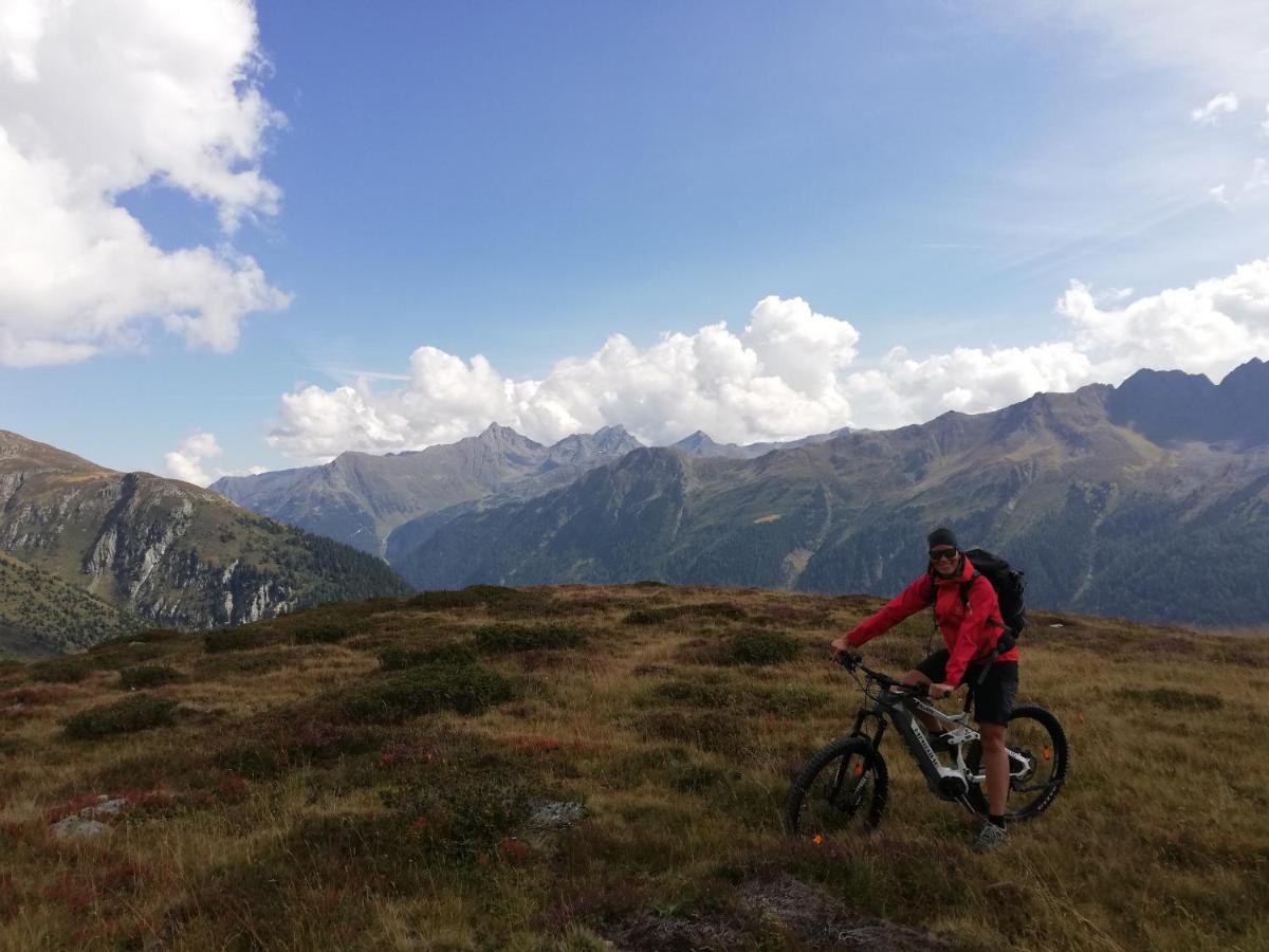 Mountain Alpine