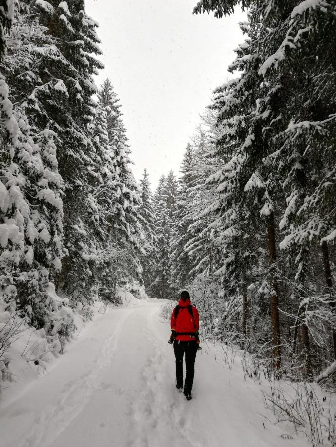 Mountain Alpine Kappl (Landeck)